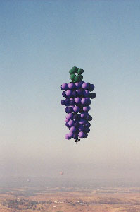 Concord Flight #17.jpg (9558 bytes)