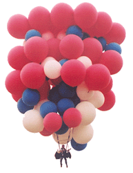 Celebration X Transparent.gif (22284 bytes)